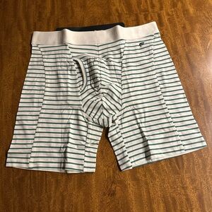 FABLETICS men’s THE 24-7 BOXER BRIEF - MISTY JADE SHORELINE STRIPE